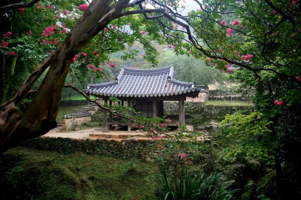 车 之 家 绿 园区 吉林 省 长春绿园区普阳街沿线汽车服务产业园外景，午后阳光落在门店招牌与试驾车身上的安静画面